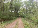 228 Lucille Street - Photo 2