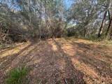 0 Delta Woods Drive - Photo 5