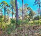 Lot 37 Dauphin Island Parkway - Photo 1
