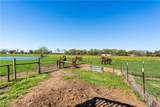25331 Austin Road - Photo 58