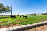 25331 Austin Road - Photo 59