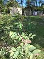 5831 Graham Lane - Photo 13