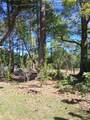 5831 Graham Lane - Photo 18