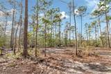 5250 Lossing Road - Photo 2