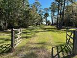 13555 Dauphin Island Parkway - Photo 3