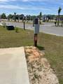 11551 Dauphin Island Parkway - Photo 3
