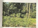 1614 Wardwood Drive - Photo 1