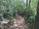 9557 Sky Vista Drive - Photo 7