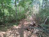 9557 Sky Vista Drive - Photo 8