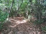 9557 Sky Vista Drive - Photo 9