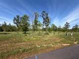 0 Sandy Creek Lane - Photo 3