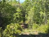 0 Sandy Creek Lane - Photo 9