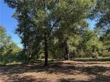 00 Newman Road - Photo 1