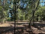 00 Newman Road - Photo 19