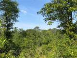 0 Sandy Creek Lane - Photo 11