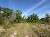 0 Sandy Creek Lane - Photo 24