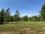 0 Sandy Creek Lane - Photo 3