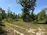 0 Sandy Creek Lane - Photo 6