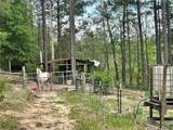 18655 Water Street - Photo 7