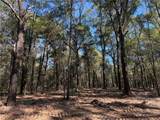 0 Danner Road - Photo 1