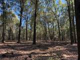 0 Danner Road - Photo 3