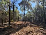 0 Danner Road - Photo 7