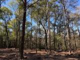 0 Danner Road - Photo 1
