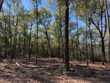 0 Danner Road - Photo 11