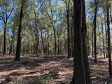 0 Danner Road - Photo 7