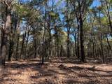 0 Danner Road - Photo 1