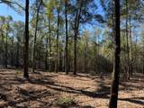 0 Danner Road - Photo 3