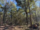 0 Danner Road - Photo 5