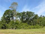 0 Sandy Creek Lane - Photo 1