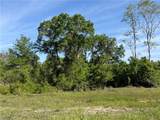 0 Sandy Creek Lane - Photo 3