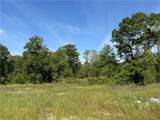 0 Sandy Creek Lane - Photo 4