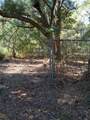 9050 Rice Creek Road - Photo 12