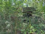 3548 Schillinger Road - Photo 13