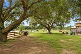 25331 Austin Road - Photo 48