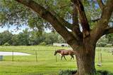 25331 Austin Road - Photo 51