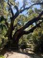 150 Narvaez Street - Photo 58