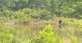 0 Bear Fork Road - Photo 2