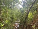 0 Bear Fork Road - Photo 3