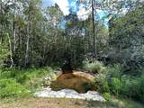 10061 Sasser Lane - Photo 4
