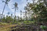 0 Whitehouse Fork Road - Photo 16