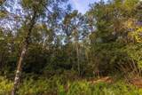 0 Whitehouse Fork Road - Photo 7