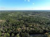 0 Dogwood Fork Road - Photo 3