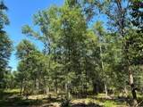 0 Newman Road - Photo 8