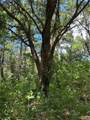 0 Creel Road - Photo 20