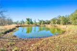17333 County Road 55 Road - Photo 30