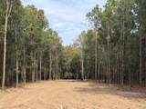 0 Danner Road - Photo 1
